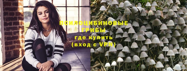 гидропоника Аркадак