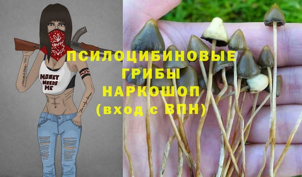 дмт Армянск