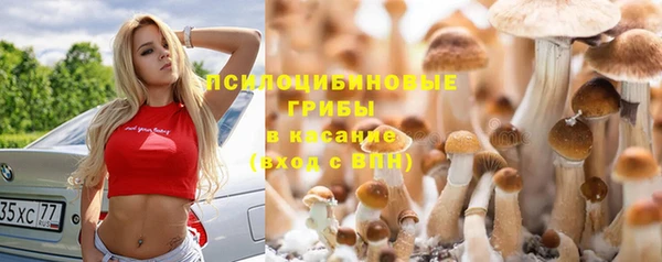 гидропоника Аркадак