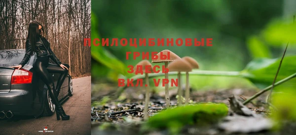 гидропоника Аркадак