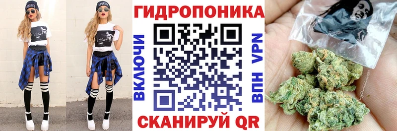 где найти   Лысково  Канабис Bruce Banner 